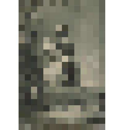 Александр I. По рисунку В. Долле с оригинала Ф. Крюгера (1837. ГЭ)