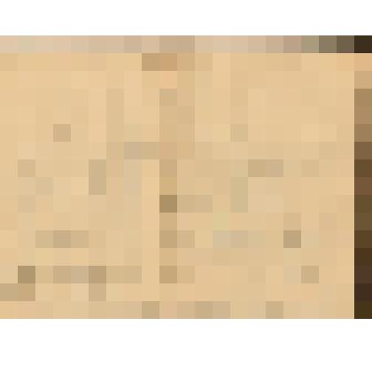 Документ. Родословная Тургеневых. Из комплекта: Из семьи Олениных