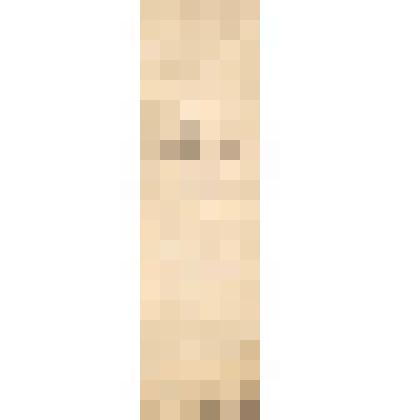 Книжка на отправленный пушной товар в Нижегородскую ярмарку Чердынских купцов братьев Семена и Василия Алиных, 1887 г