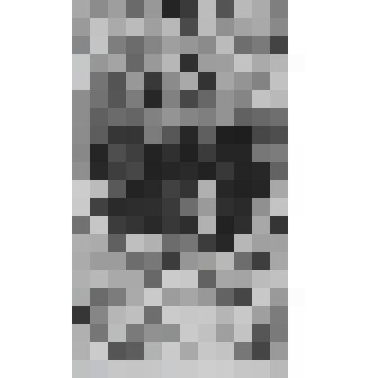 Портрет Михаэля Дилера