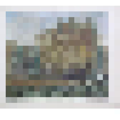 Одногодки (Старбеевский лес близ Химок)