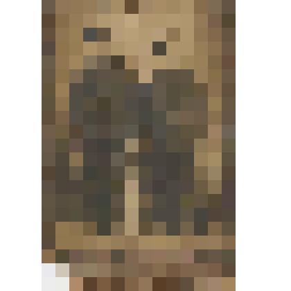 Фотография. Емельянов Ермолай Григорьевич (справа), прототип рассказа В.М. Шукшина "Дядя Ермолай", с другом