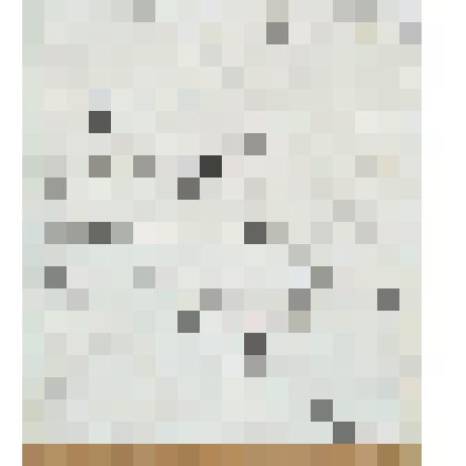 Суда. Иллюстрация