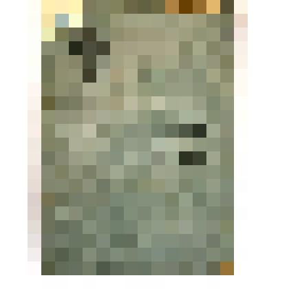 Трудовая книжка Т.Ф. Михайличенко