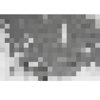 Золотосодержащий флотационный концентрат