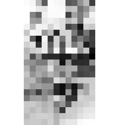 Фото групповое 