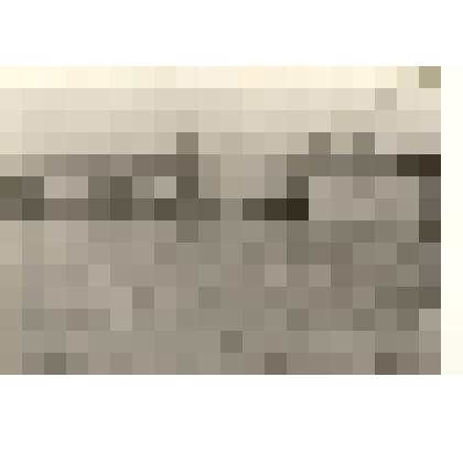 Фотография: наводнение на набережной г.Камень-на-Оби Алтайского края