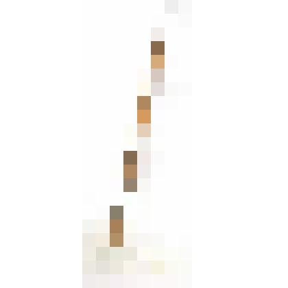 Наметельник (палка-рукоятка от метлы)