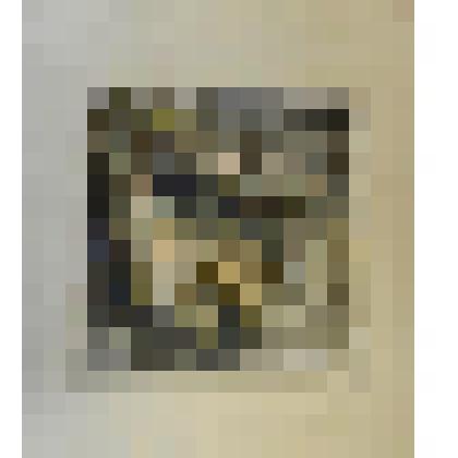 «Рыбы». Рисунок