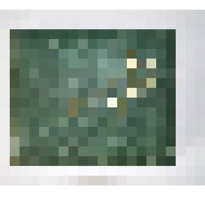 Альбом. Мурановские пейзажи