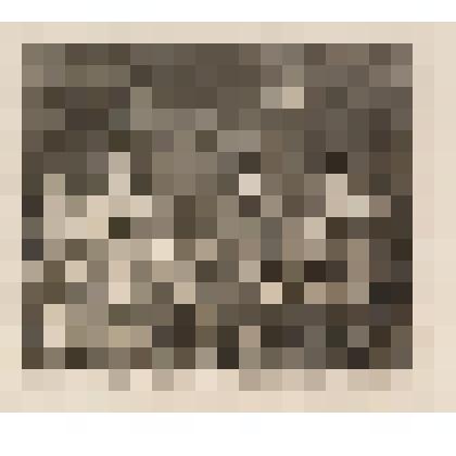 Во Флитской тюрьме. Лист VII из серии "Карьера мота". 1735, из альбома «The Works of William Hogarth»