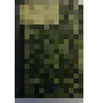 Книга. Полезные сведения о лошади и других домашних животных и птицах, с краткими наставлениями о выборе,  сбережении здоровья домашних животных и птиц и о подаче им помощи в болезнях. 3-я Типо-Литография А.И. Снегиревой