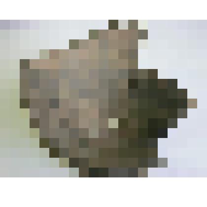 Фрагменты керамики