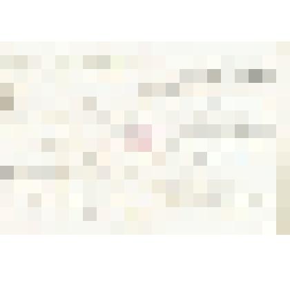 Письмо Ф. Лоренца Мартьянову с сообщением о готовности выслать в Минусинский музей чучела животных и птиц в обмен на рога, просьбой прислать уларов, но при этом хорошо обработать шкурки солью