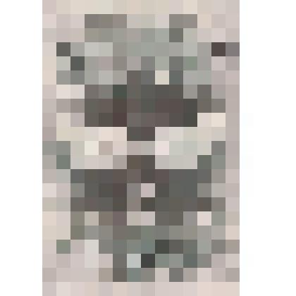 Иллюстрация. Таблица № 58. Выпуск "11-13".
 Из комплекта таблиц "Красота форм в природе"