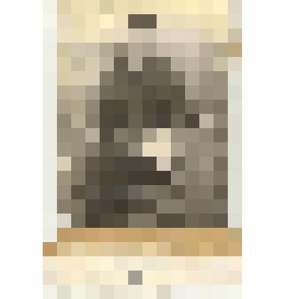 Фотография: Кольченко Н.Д., комбайнер Попереченской МТС