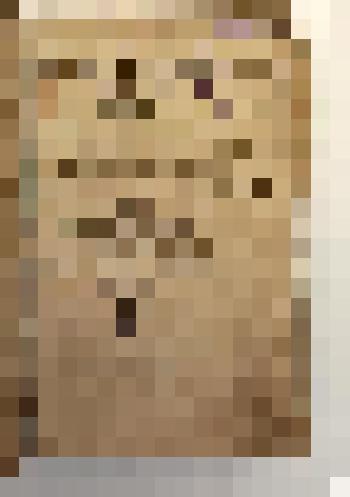 Конволют. Книги на латинском языке: 1)  Philosophia compendiosa seu philosophiae synopsis, exhibens logicae, physicae, astronomiae, ethicae, metaphysicae... - Gissae: Ex typographeo Casparis Chemlini, 1618; 2) Ioannis Magiri Physiologiae peripateticae lib