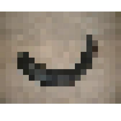 Рог неизвестного животного