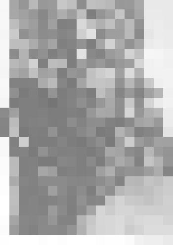 Фото. Маяковский В.В. на балконе квартиры чешского писателя и художника Адольфа Гофмейстера