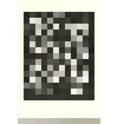 Линогравюра. Композиция № 7 из серии «Малые метаморфозы»