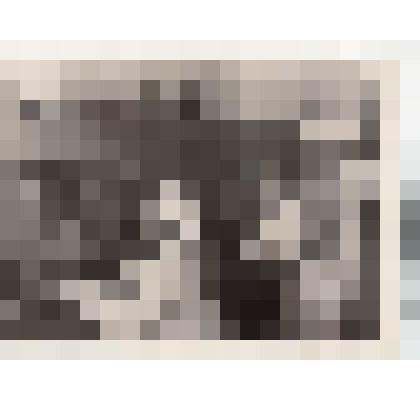 Ф/чб. Химлаборатория Энгельсского Мясокомбината. Энгельс. 1941-1943 г