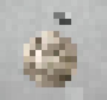 Монета. 10 копеек