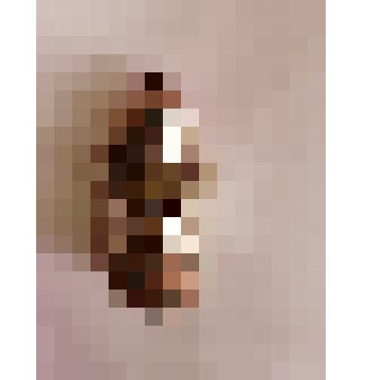 Елочная игрушка - лягушка