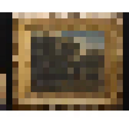 Лесная чаща