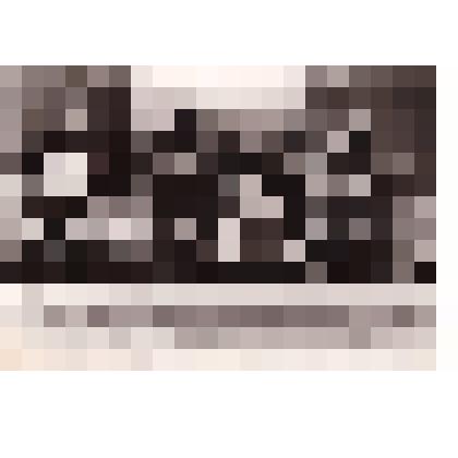 Фотография черно-белая "Участники пленума В-Тоемского РК ВЛКСМ с. В-Тойма"