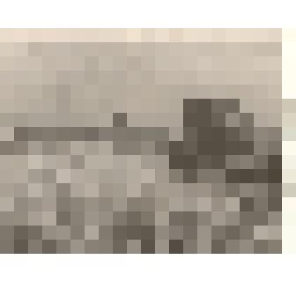 Фотография: косовица овса лафетной жаткой в совхозе "Октябрь" Каменского района Алтайского края