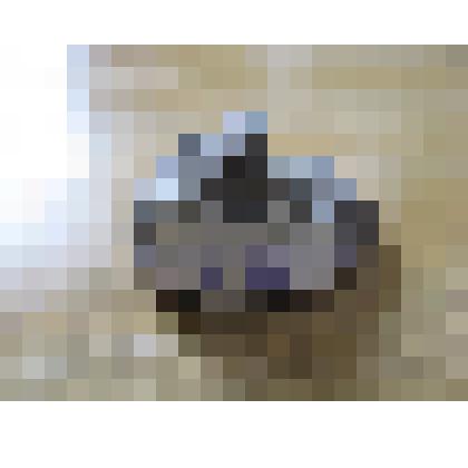 Губка меловая, маленькая, основание округлой формы