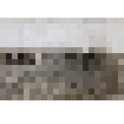 Фотография черно-белая.
Летний снимок в степи