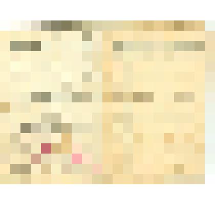 Билет № 6667 члена Российского Ленинского Союза молодежи Корнеева Д. Е