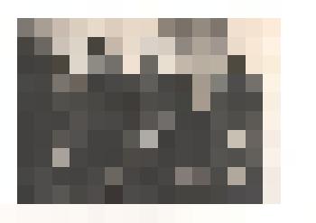 Фотография ч/б групповая. Группа колхозниц