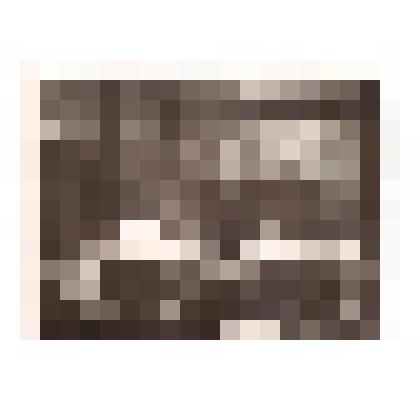 Фотография. Б.А. Венков на кафедре в ЛГУ