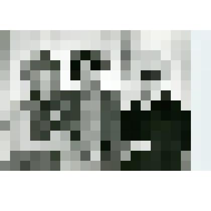 Фотография. Групповой снимок. Ф.К. Касимова, С.Г. Кусимова, Т.Ш. Худайбердина. Уфа, 1982