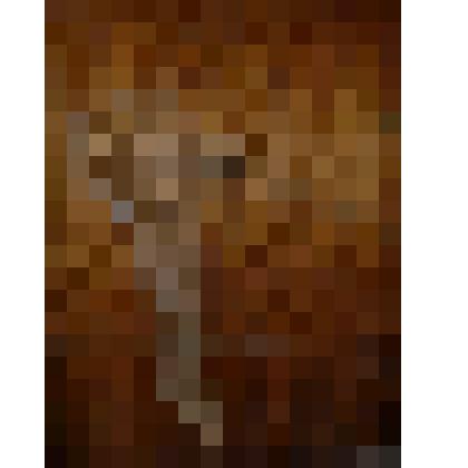 Сачок для ловли рыб