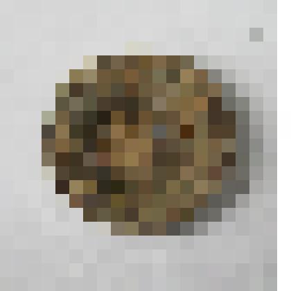 Пуговицы с нижнего белья