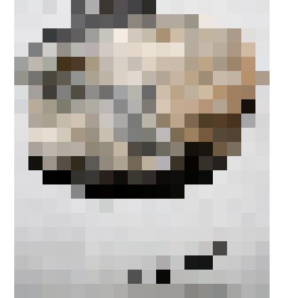 Лимонит (бурый железняк)