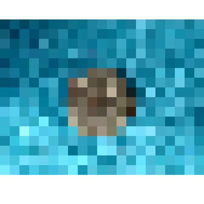 Монета разменная 2 копейки 1872г