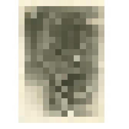 Фото групповое Григорий Федорович Трубин,сотрудник Управления контрразведки Ленинградского фронта, с сотрудниками ОО НКВД СССР 36 запасной стрелковой бригады