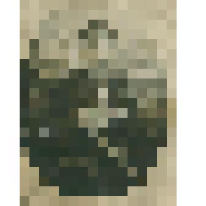 Фотография. Чимин Т.Г., житель села Коломенского