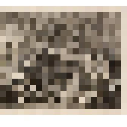 Смерть. Лист V из серии"Карьера шлюхи". 1732, из альбома «The Works of William Hogarth»