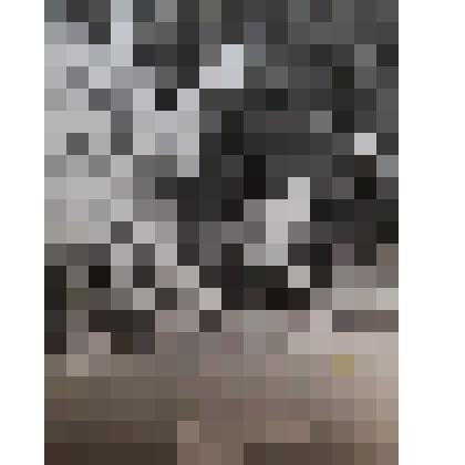 Фото Гора Сохондо