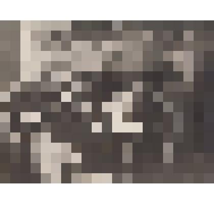 Фото Выступление духового оркестра на традиционном вечере в Тоншаевской средней школе