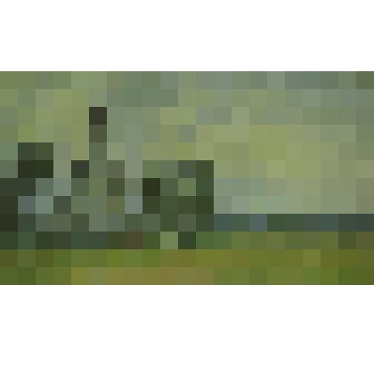 Картина. Церковь Покрова на Нерли