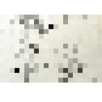 Птицы. Московский зоопарк