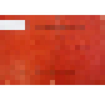 Мандат "Мандат делегата 14 районной партконференции Кузнецова И.М."