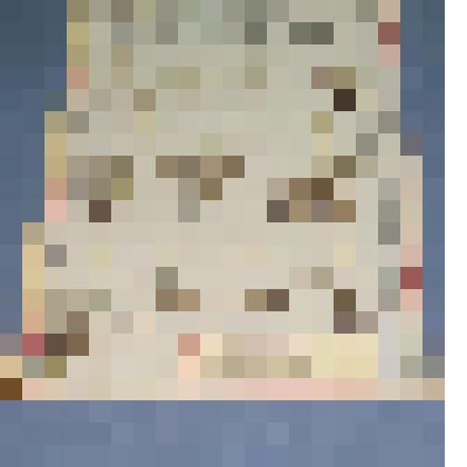 Ботаническая коллекция. Кошачья лапка, на гербарном листе, Красноярский край, Ермаковский район, сосновый бор вблизи села Ермаковского. Compositae Antennaria dioica Z