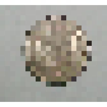 10 рублей 1993 г